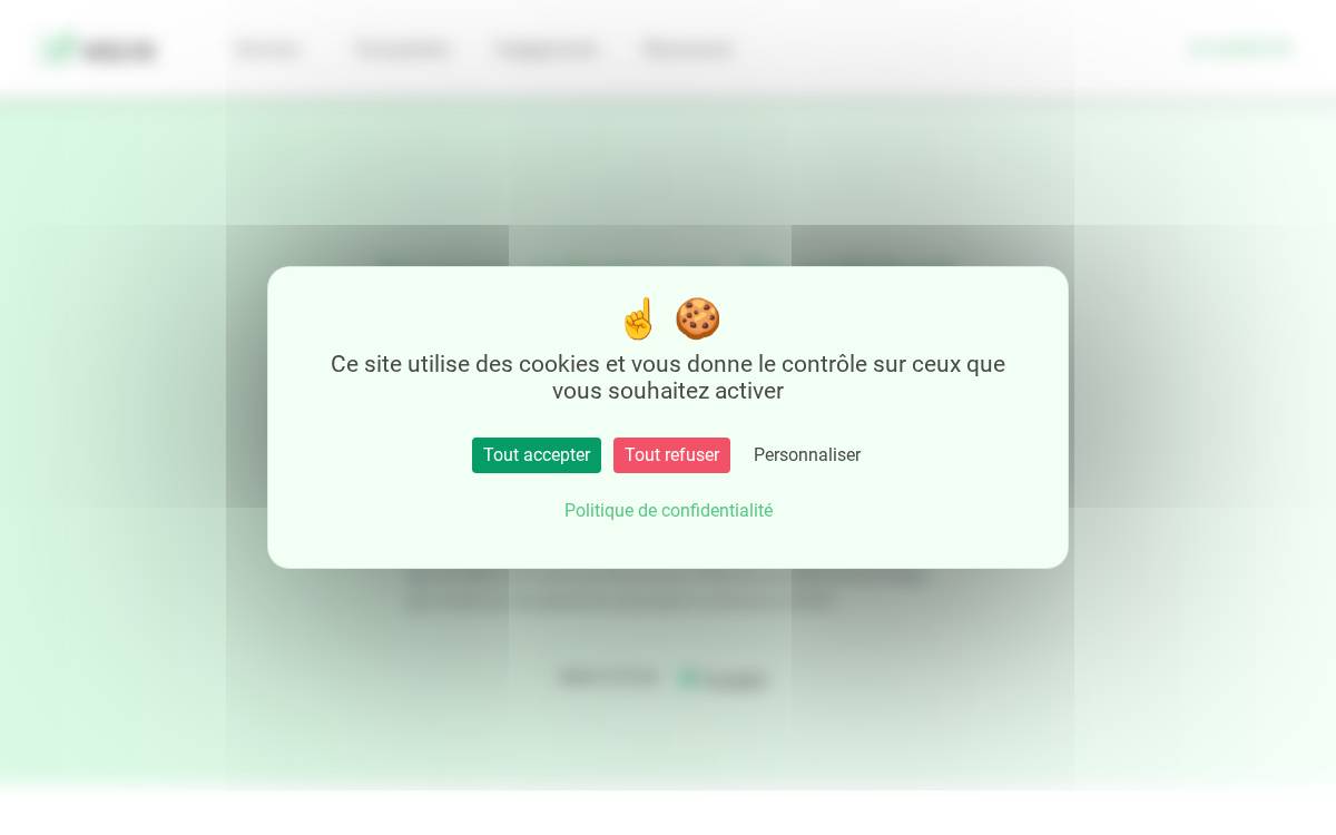 Welyb website preview