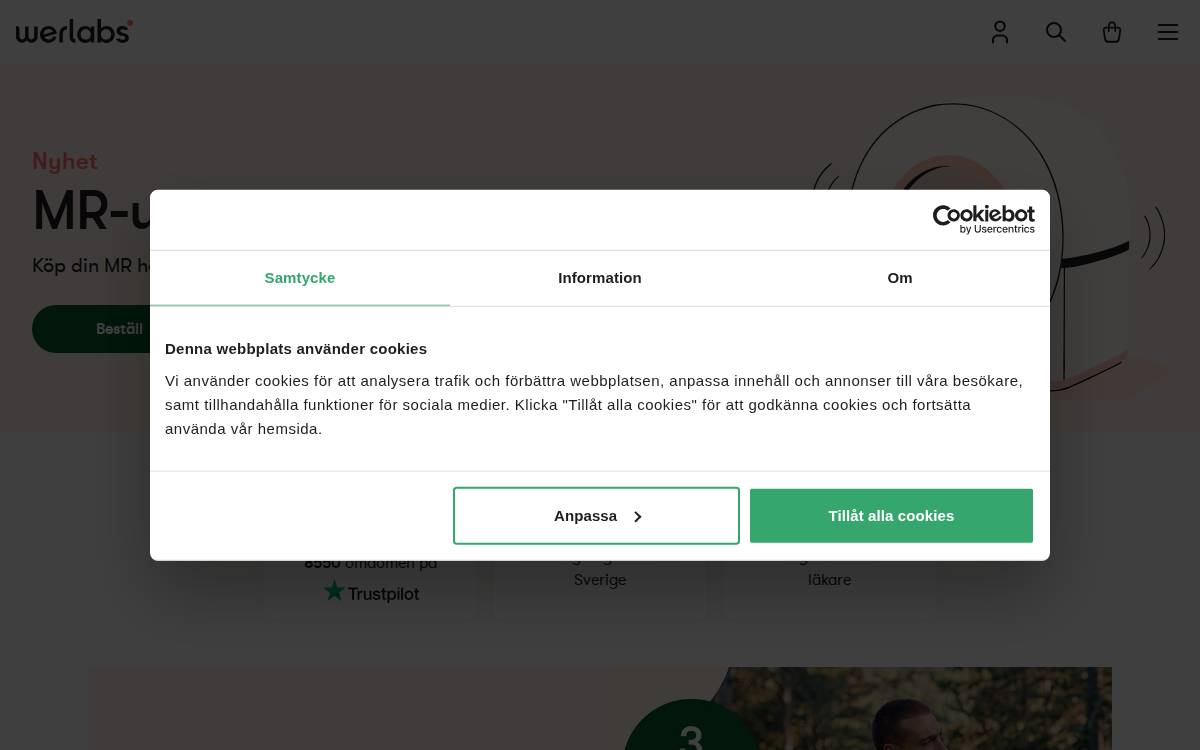 Werlabs website preview