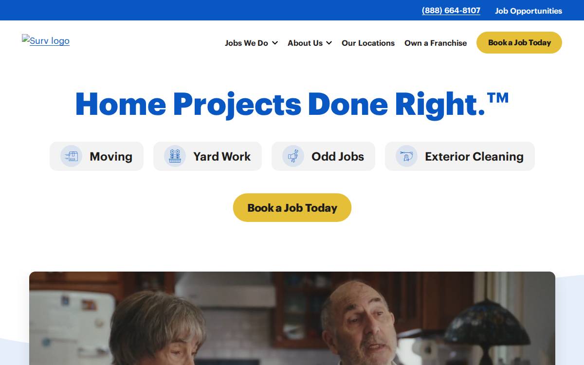 Wesurv website preview