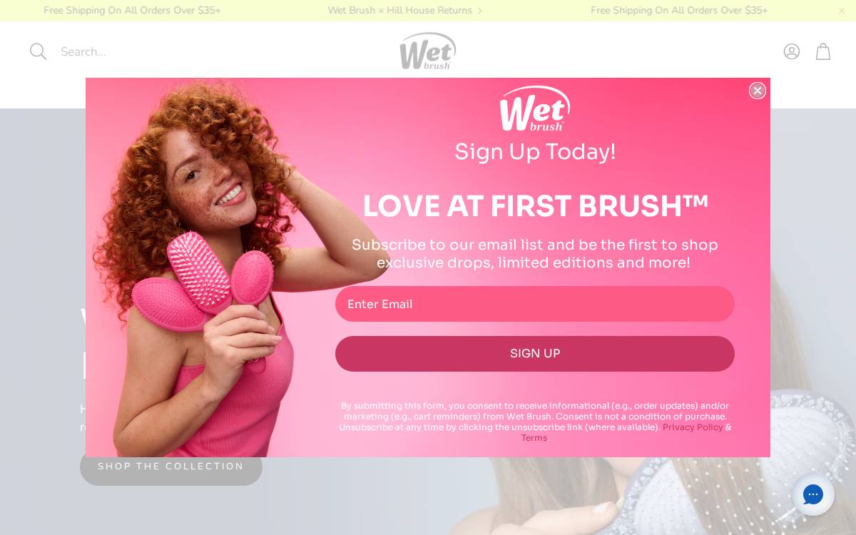 Wetbrush website preview