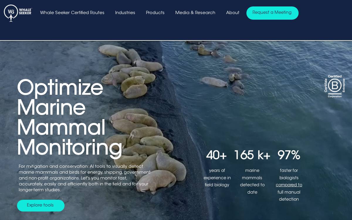 Whale Seeker website preview