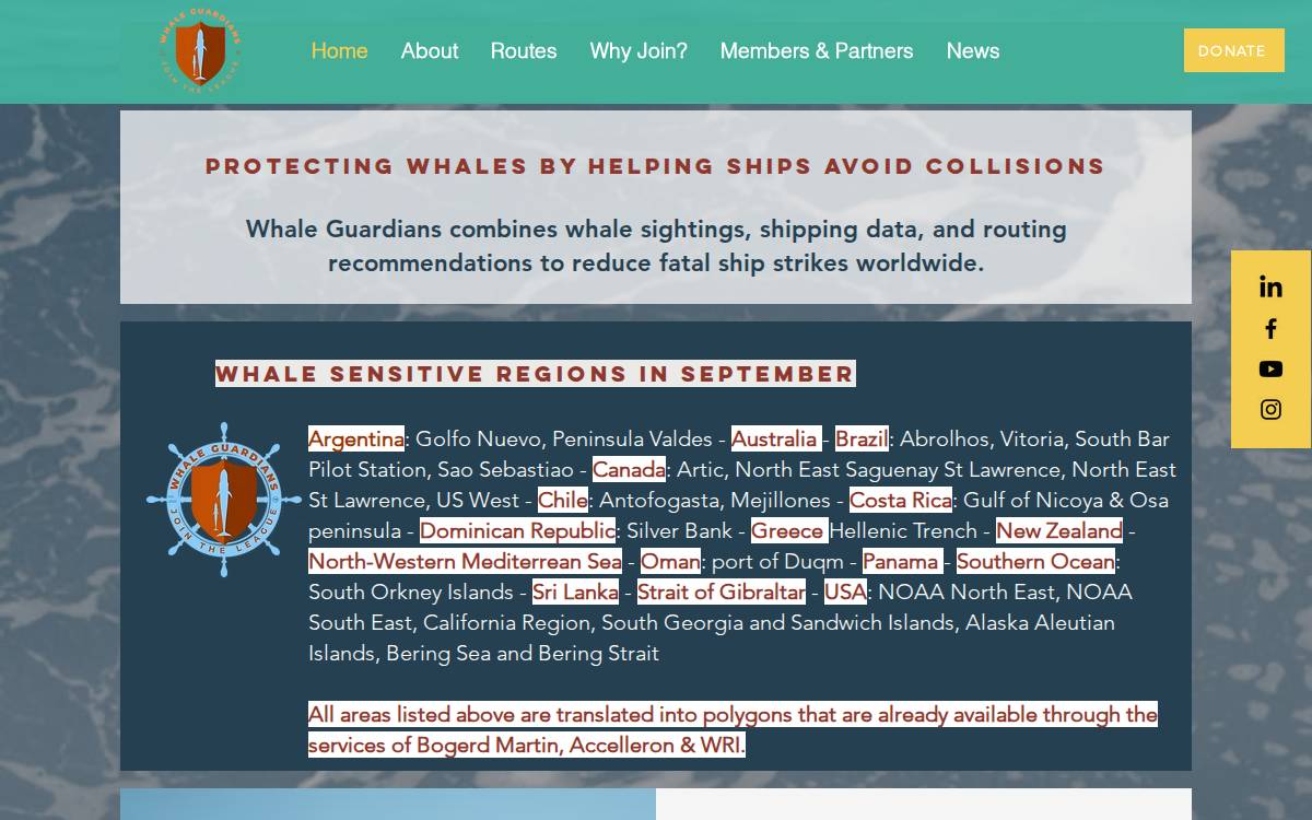 Whaleguardians website preview