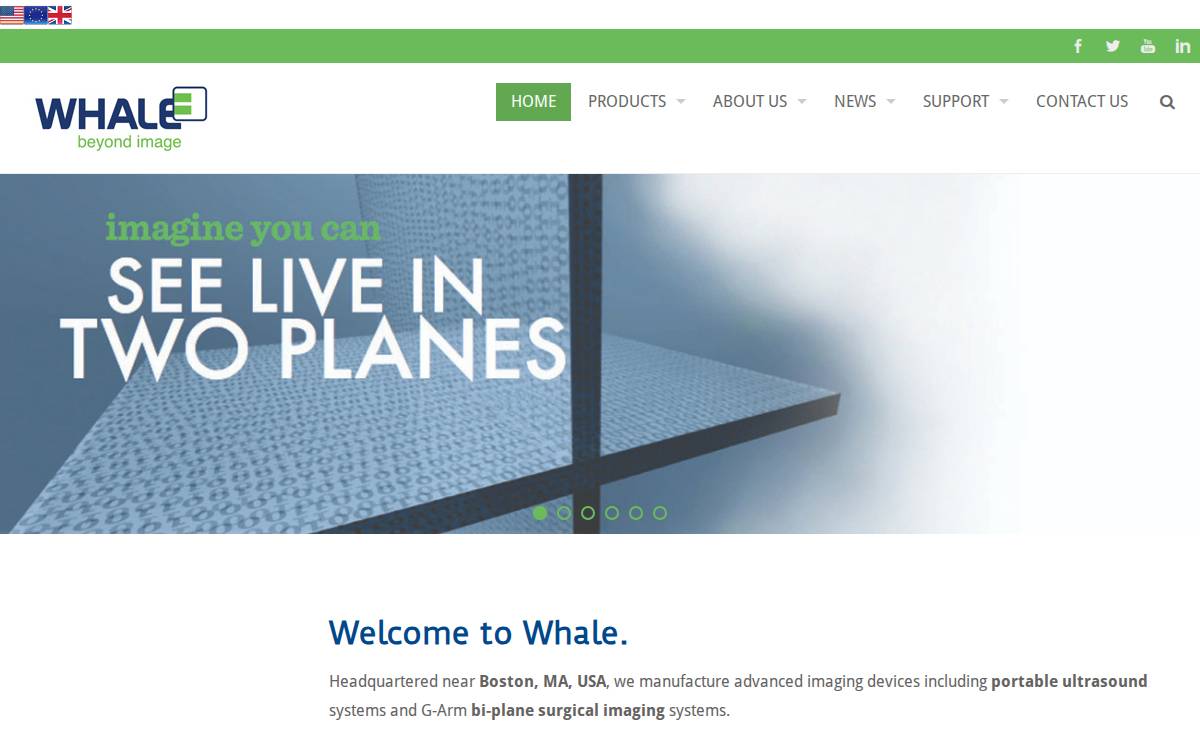 Whaleimaging website preview