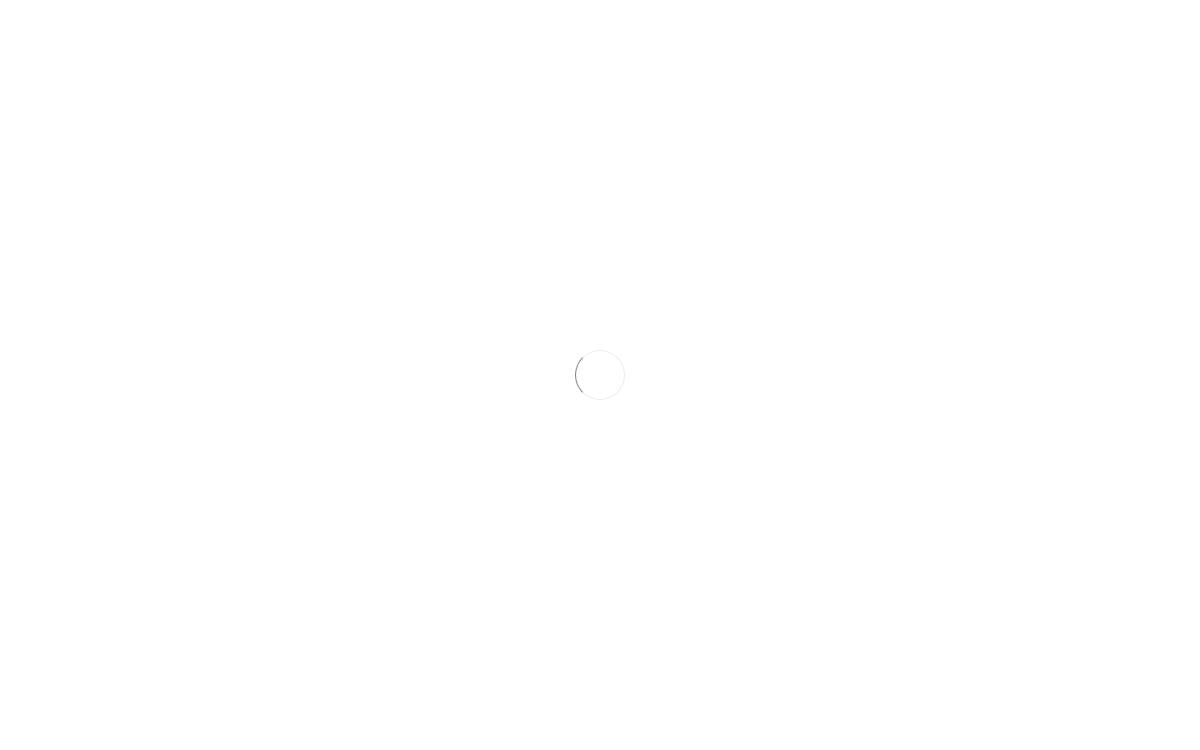 Wheelocity website preview