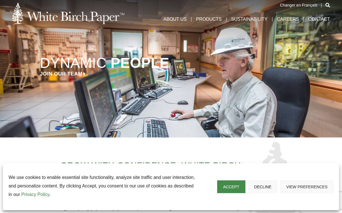 White Birch Paper website preview