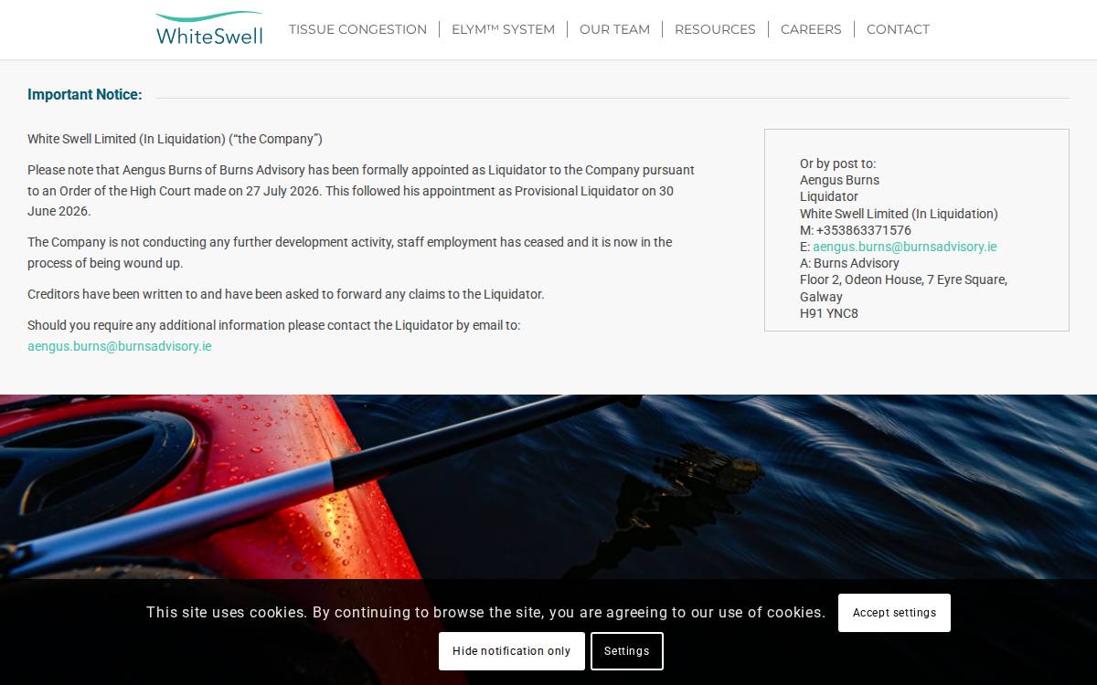 WhiteSwell website preview