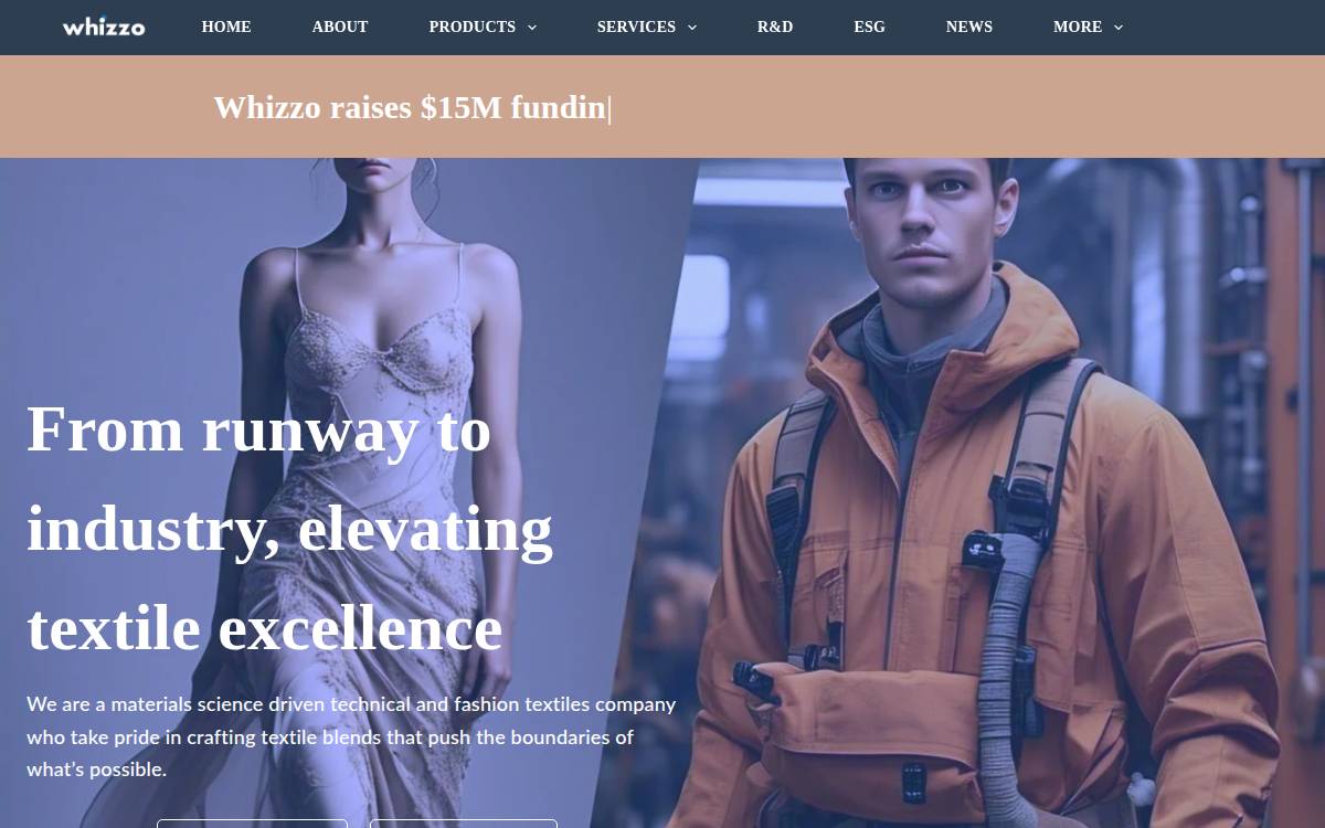 Whizzo website preview