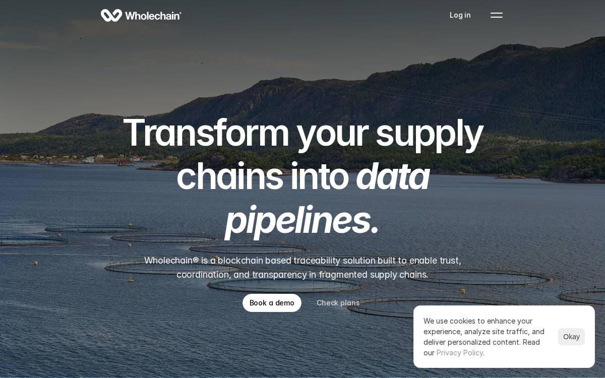 Wholechain website preview