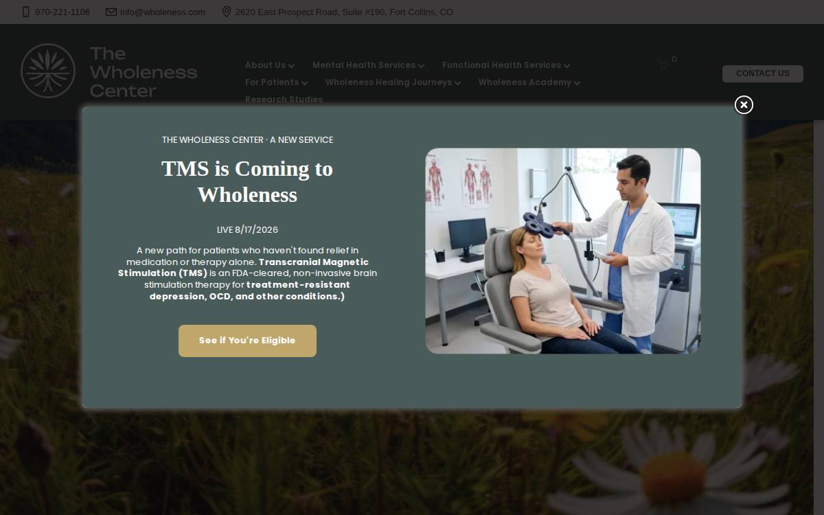 Wholeness website preview