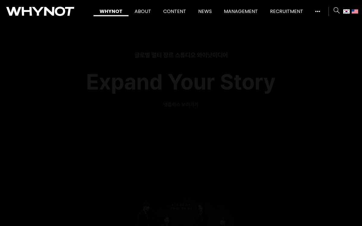 Whynot website preview
