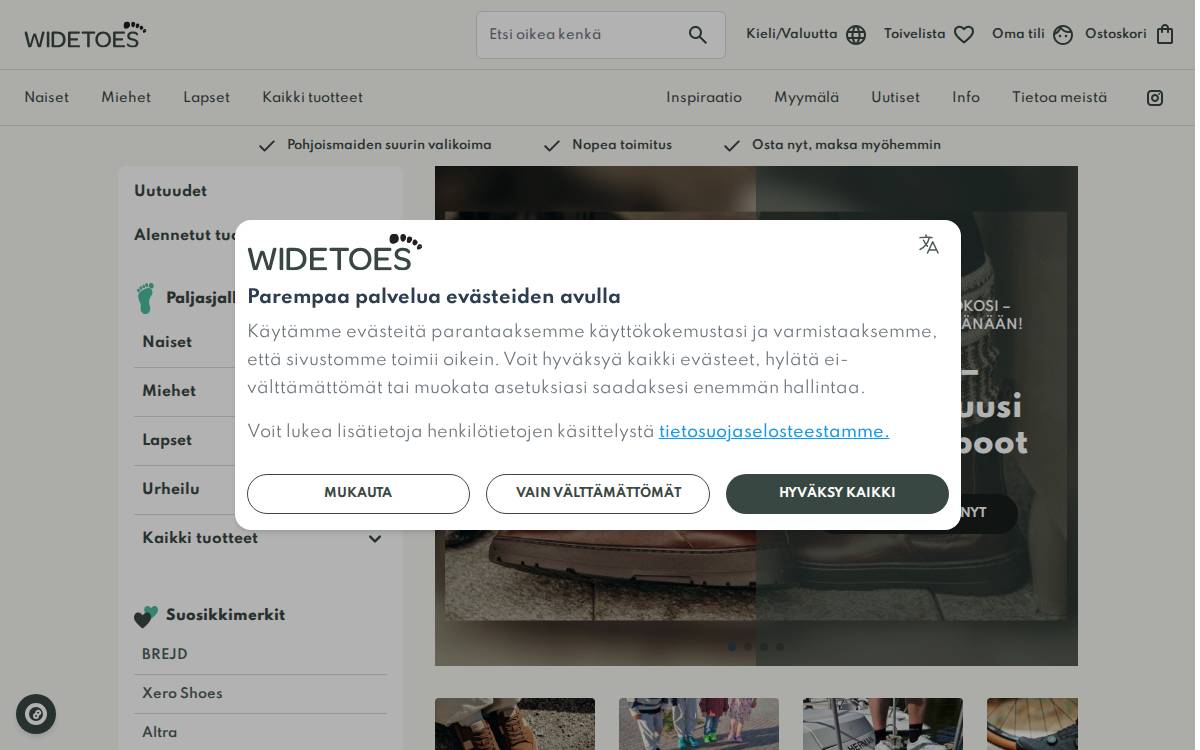 Widetoes website preview