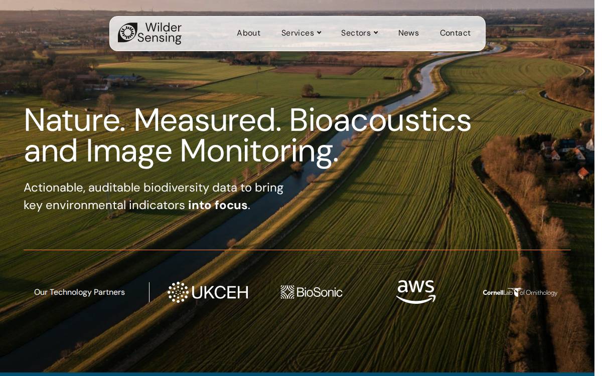 Wilder Sensing website preview