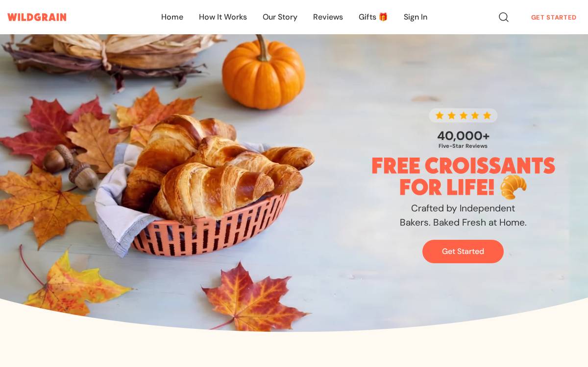 Wildgrain website preview