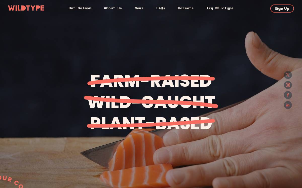 Wildtype website preview