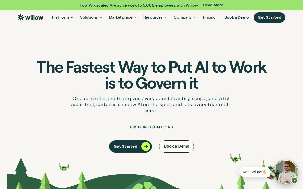 Willow website preview
