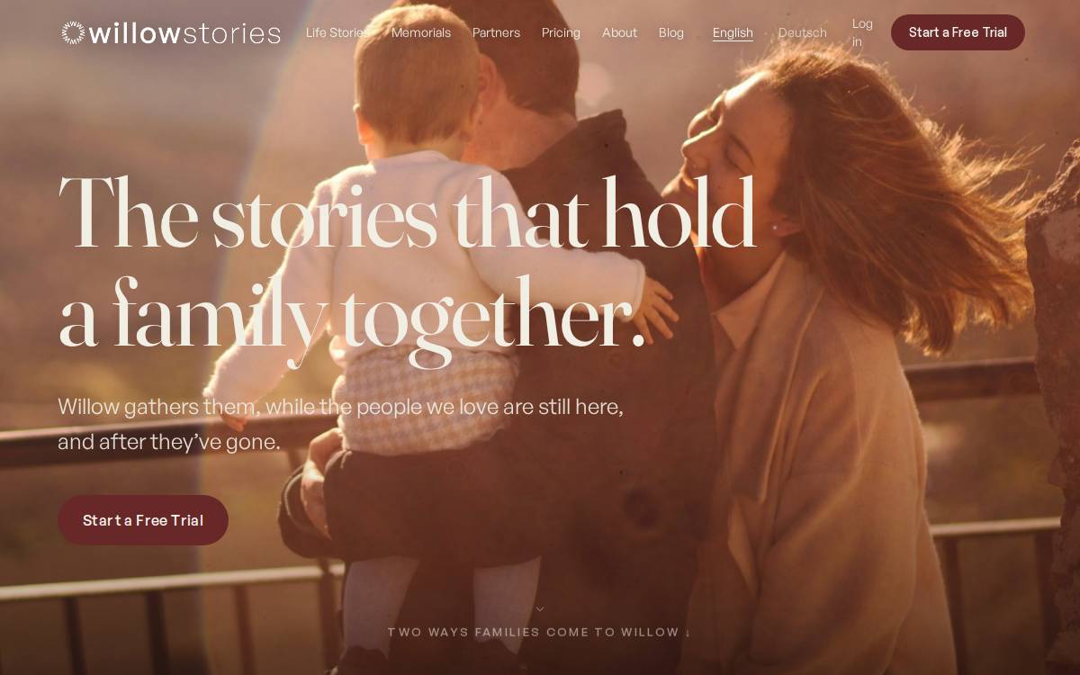 Willow website preview