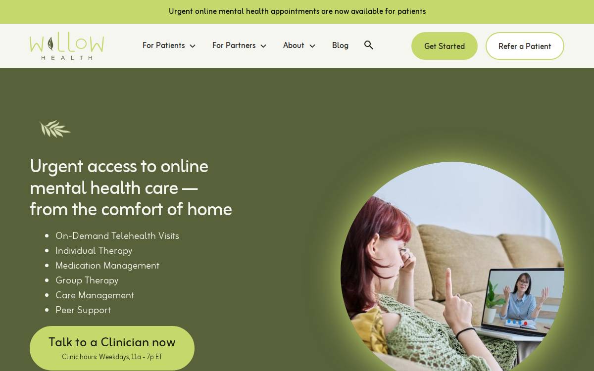 Willow Health website preview