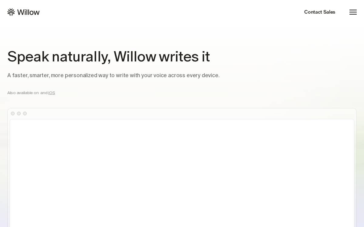 Willow website preview