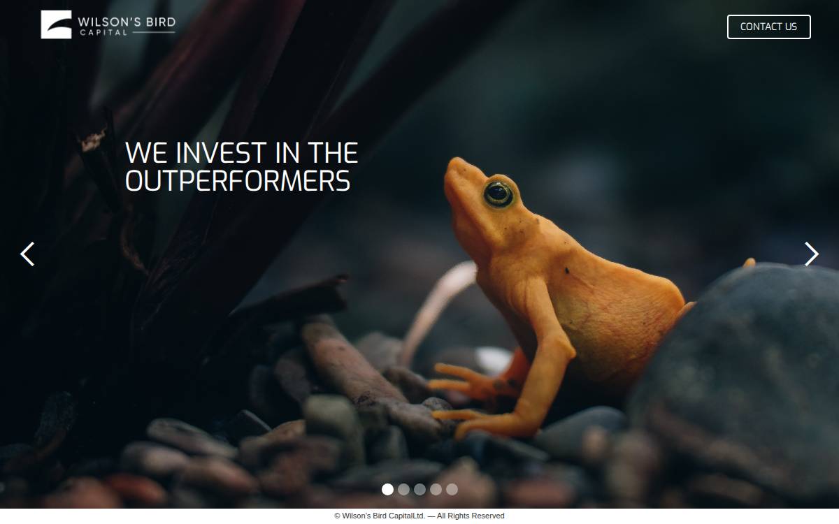 Wilson's Bird Capital website preview