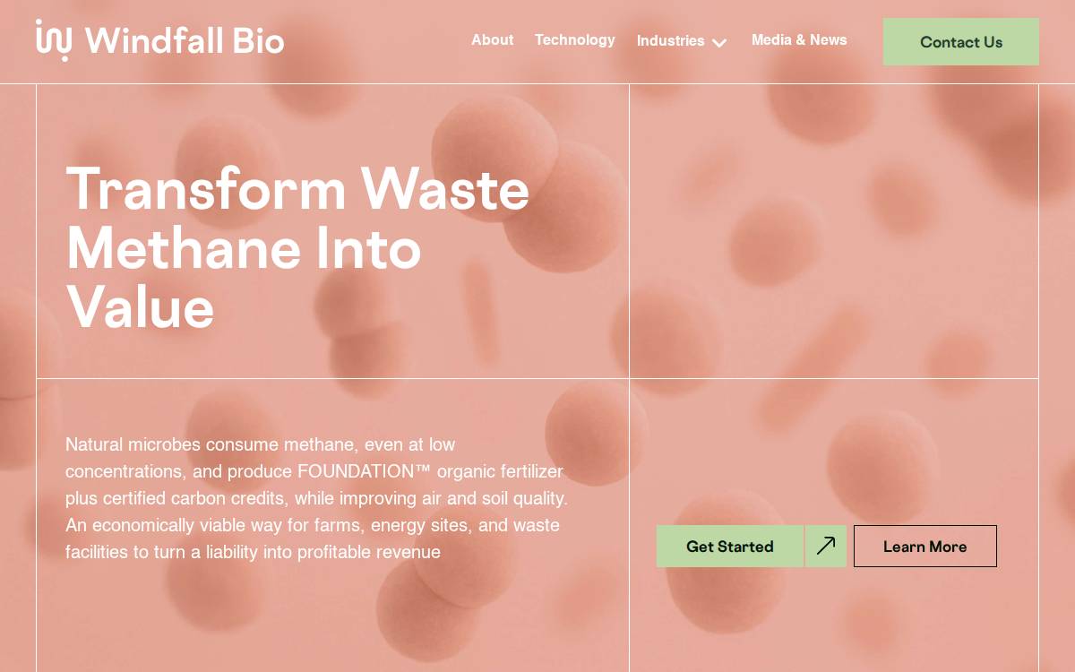 Windfall Bio website preview