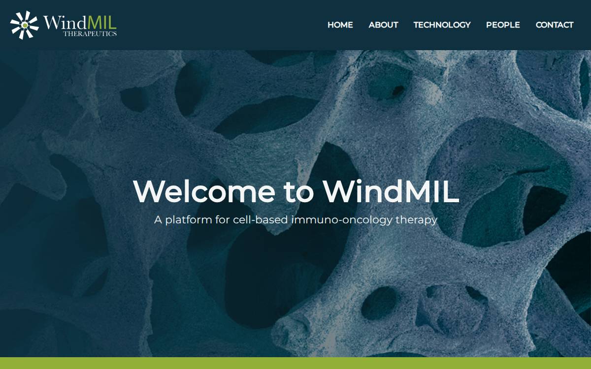 WindMIL Therapeutics website preview