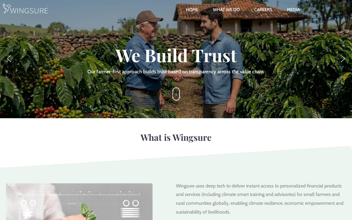 WINGSURE website preview
