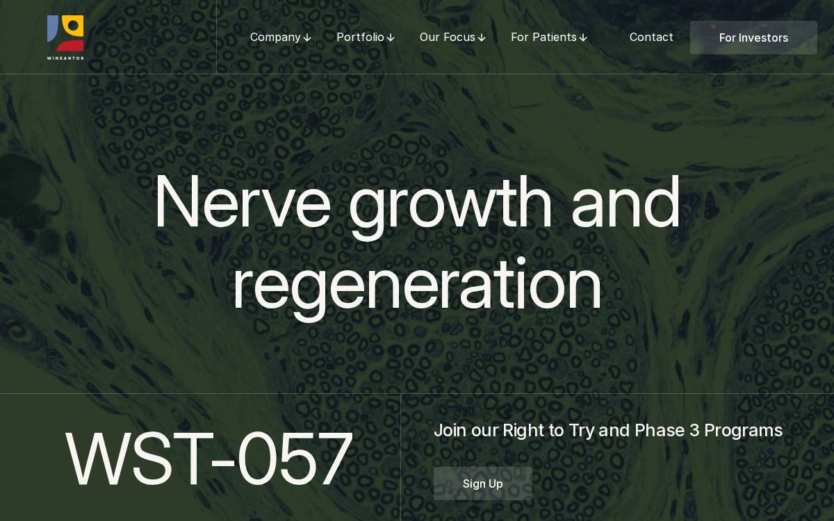 WinSanTor website preview