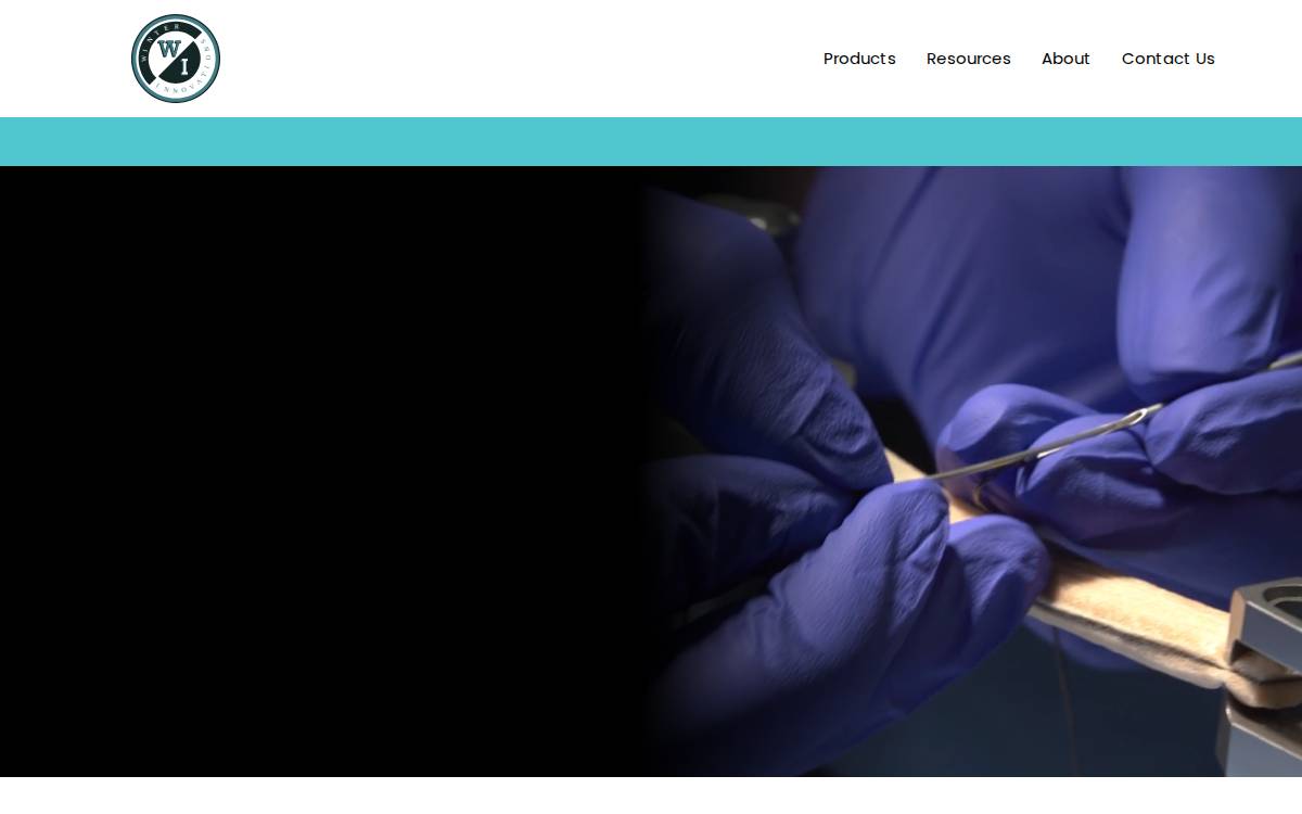 Winter Innovations website preview