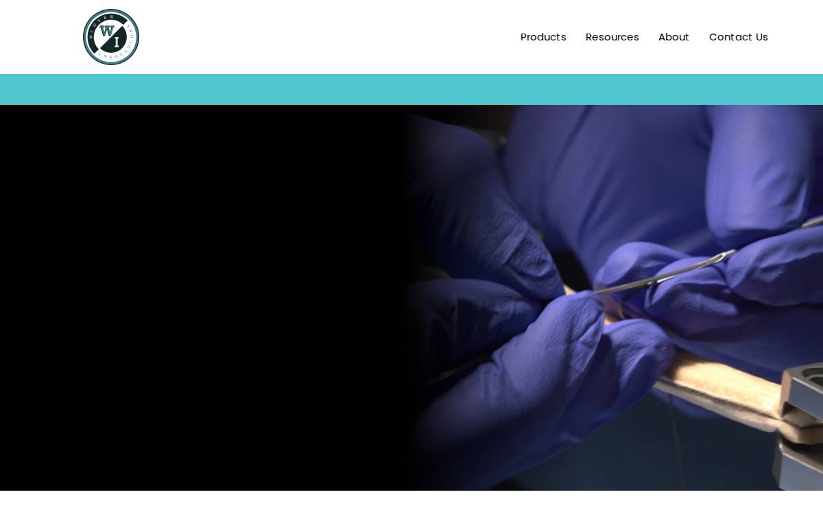 Winter Innovations website preview