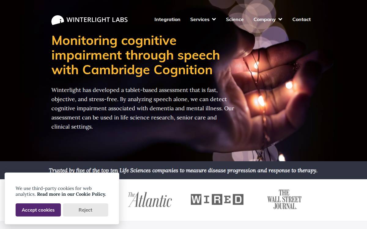 Winterlight website preview