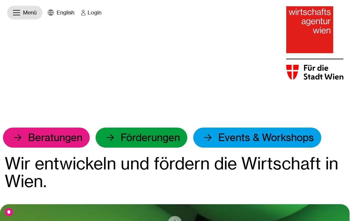 Wirtschaftsagentur Wien website preview