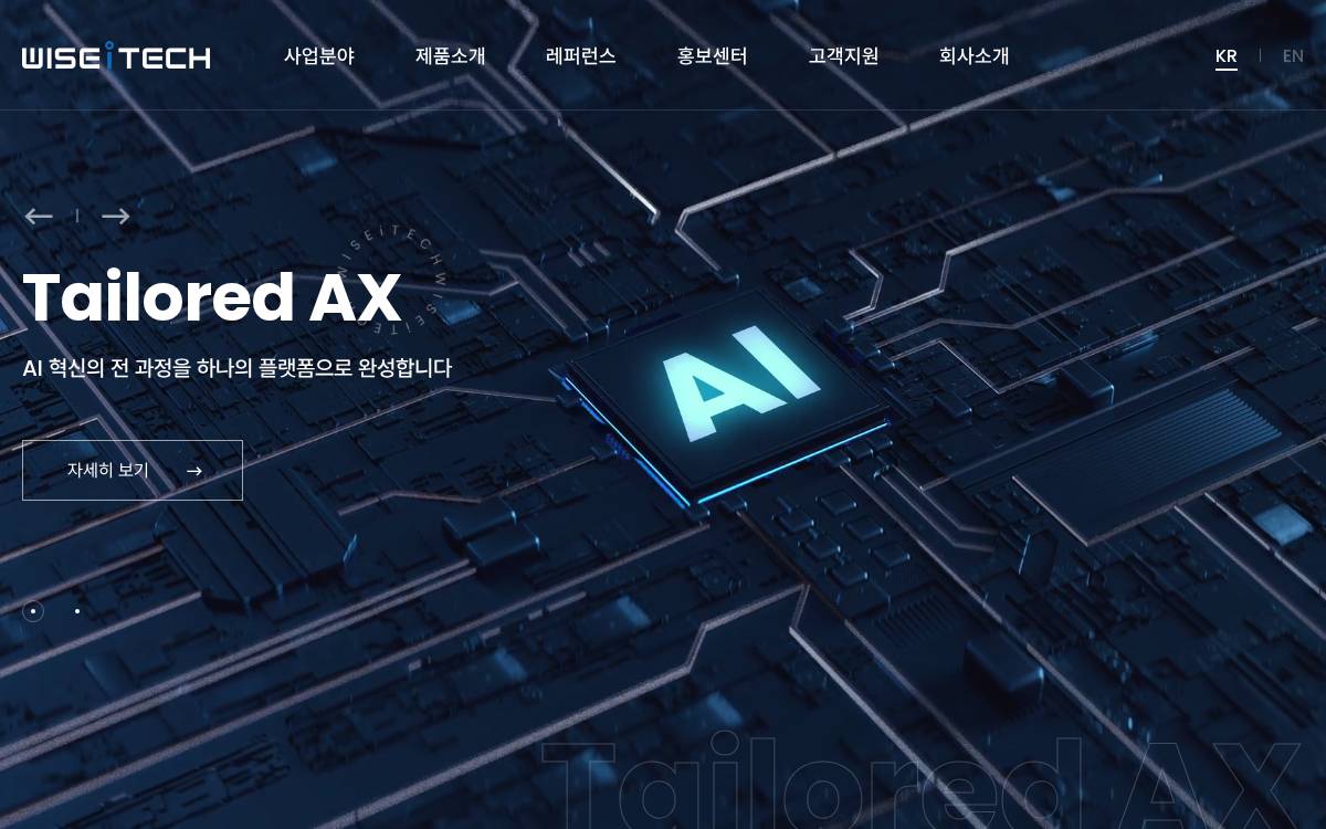 Wise website preview