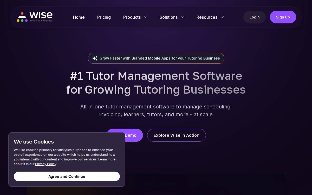 Wise website preview