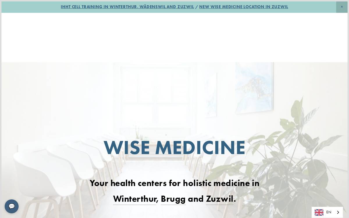 Wise Medicine website preview