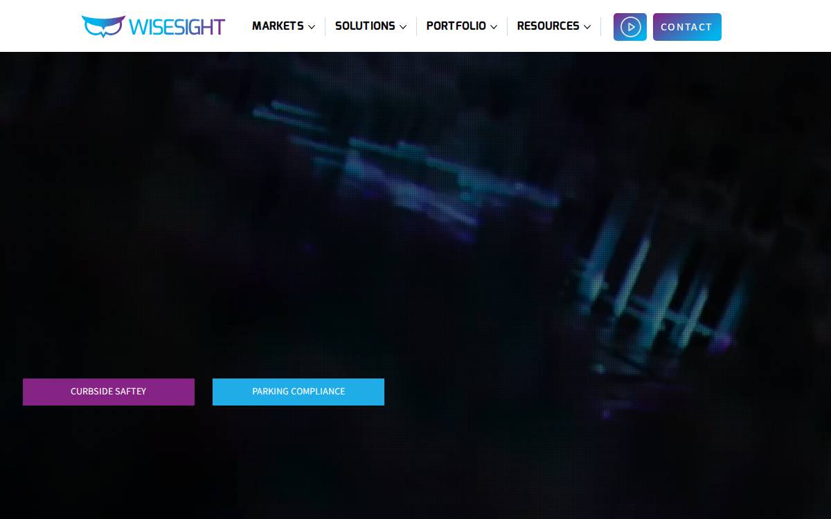Wise Sight website preview