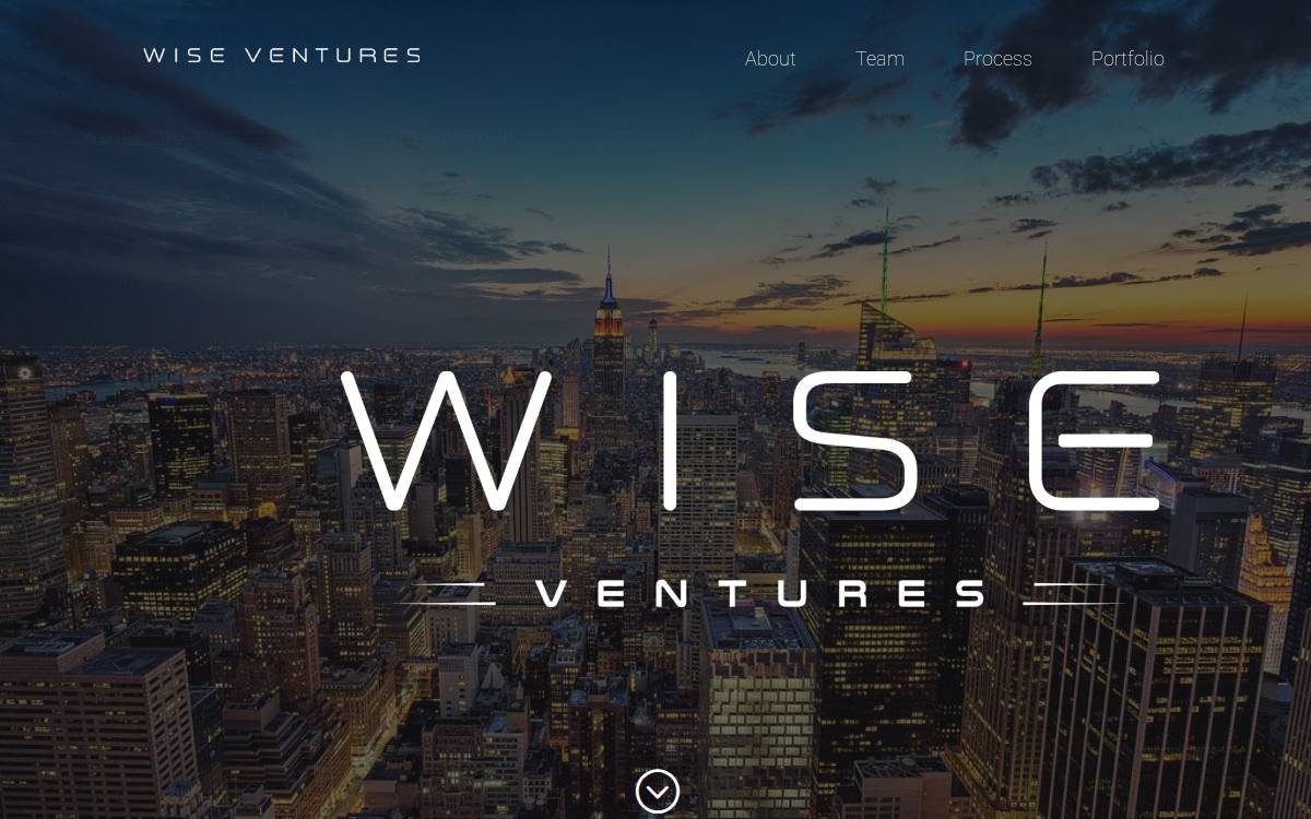 Wise Ventures website preview