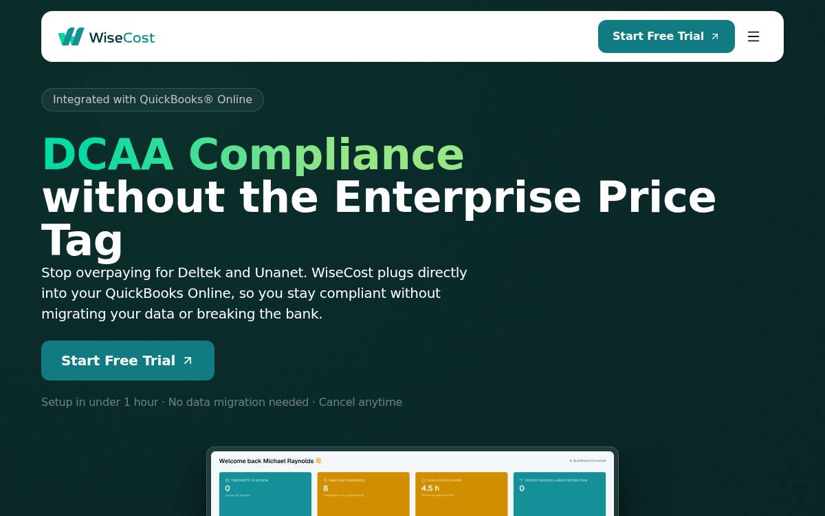 WiseCost website preview