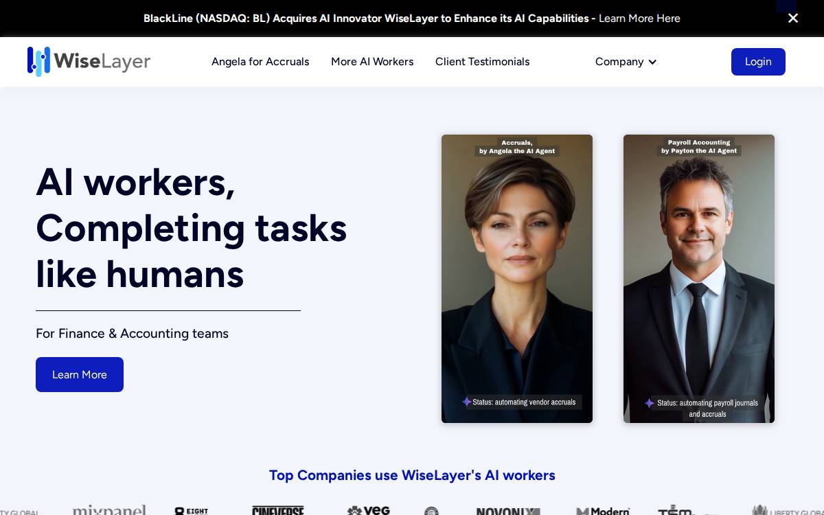 WiseLayer website preview