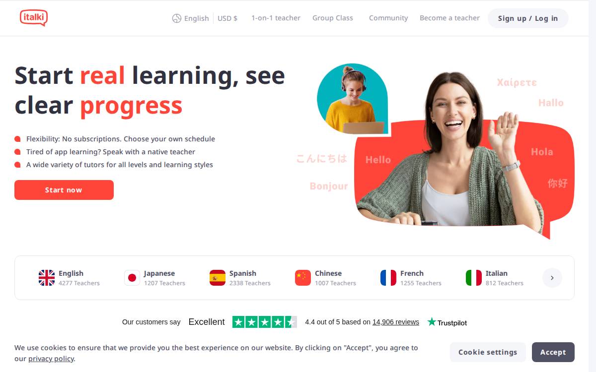 Wise Panda website preview