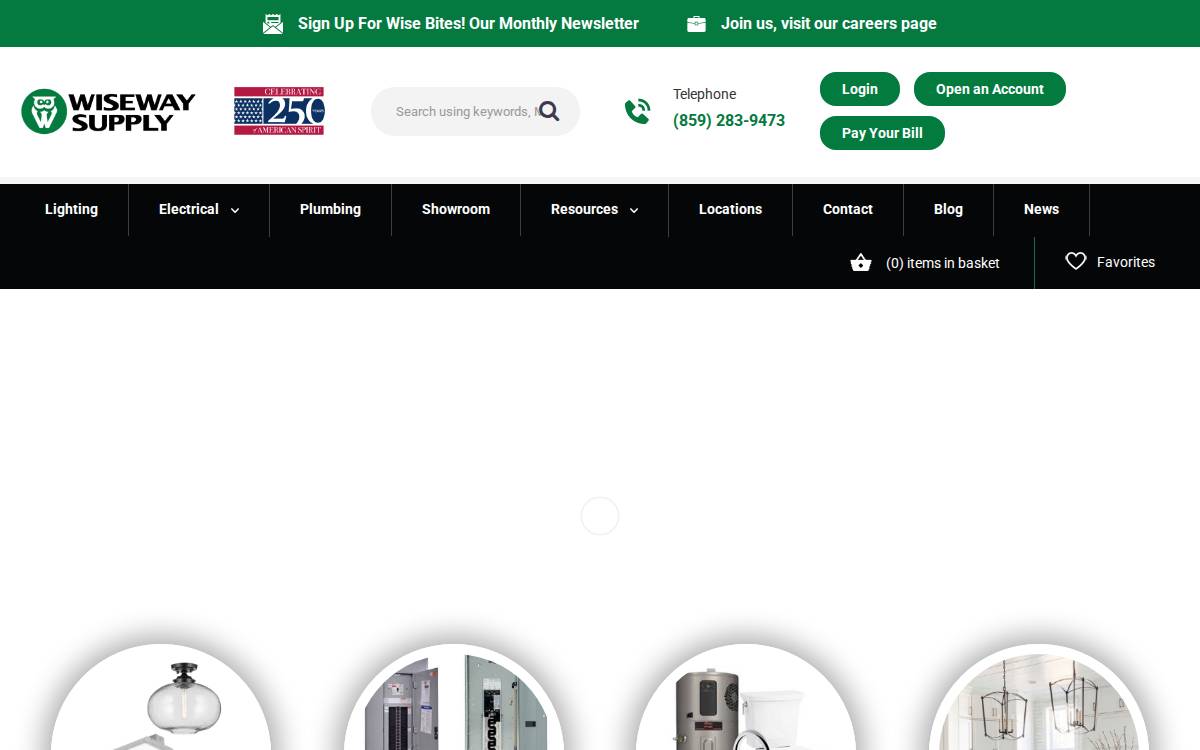 Wisewaysupply website preview
