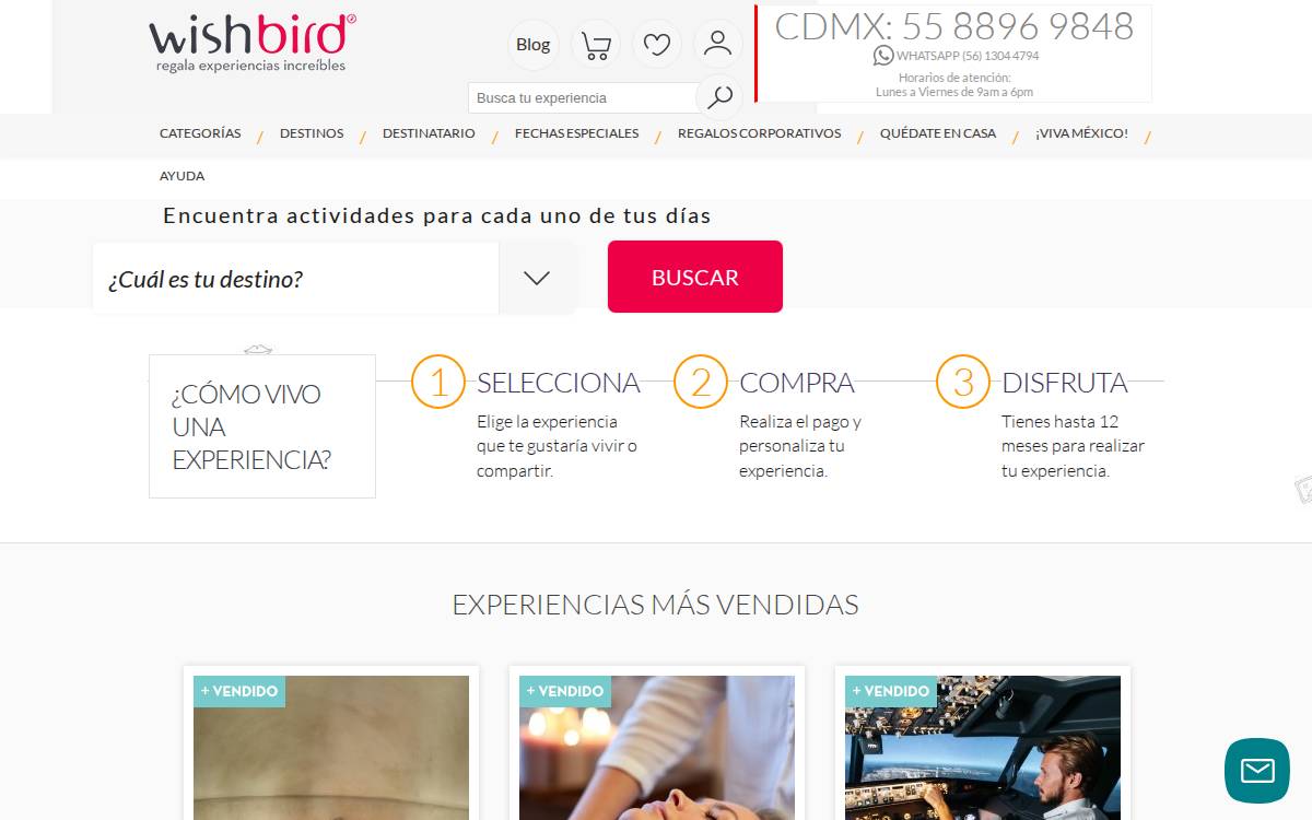 Wishbird Experiences website preview