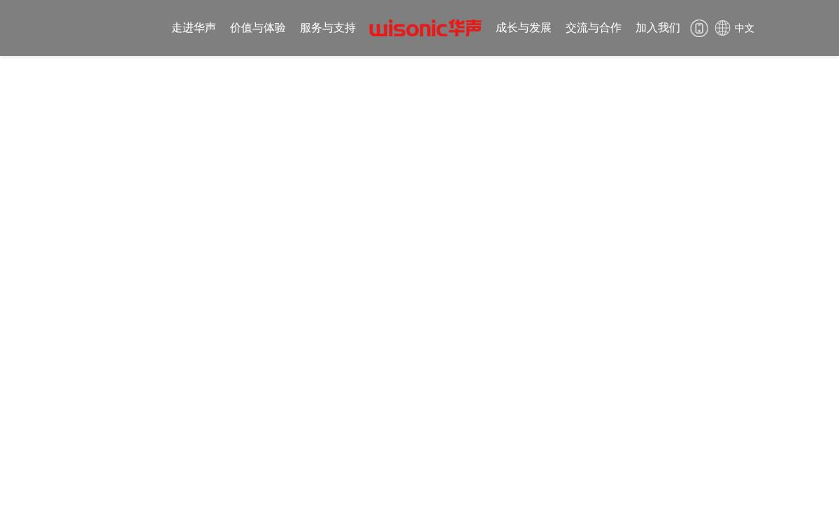 华声医疗 (Wisonic) website preview