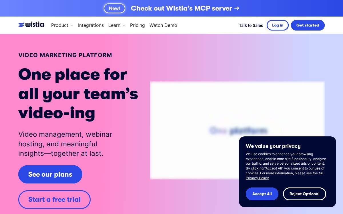 Wistia website preview