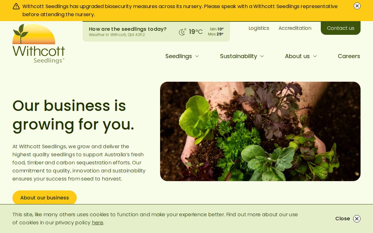 Withcott Seedlings website preview