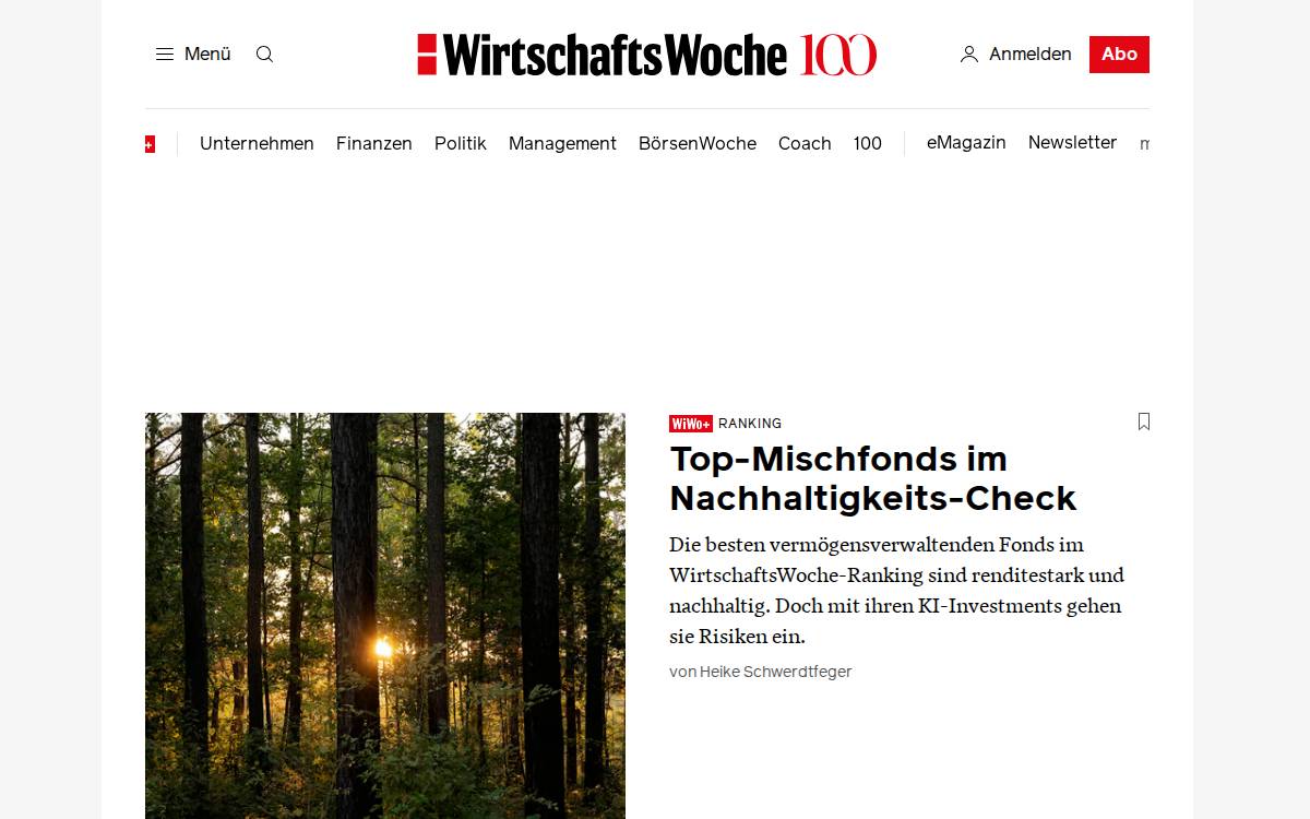 Wiwo website preview