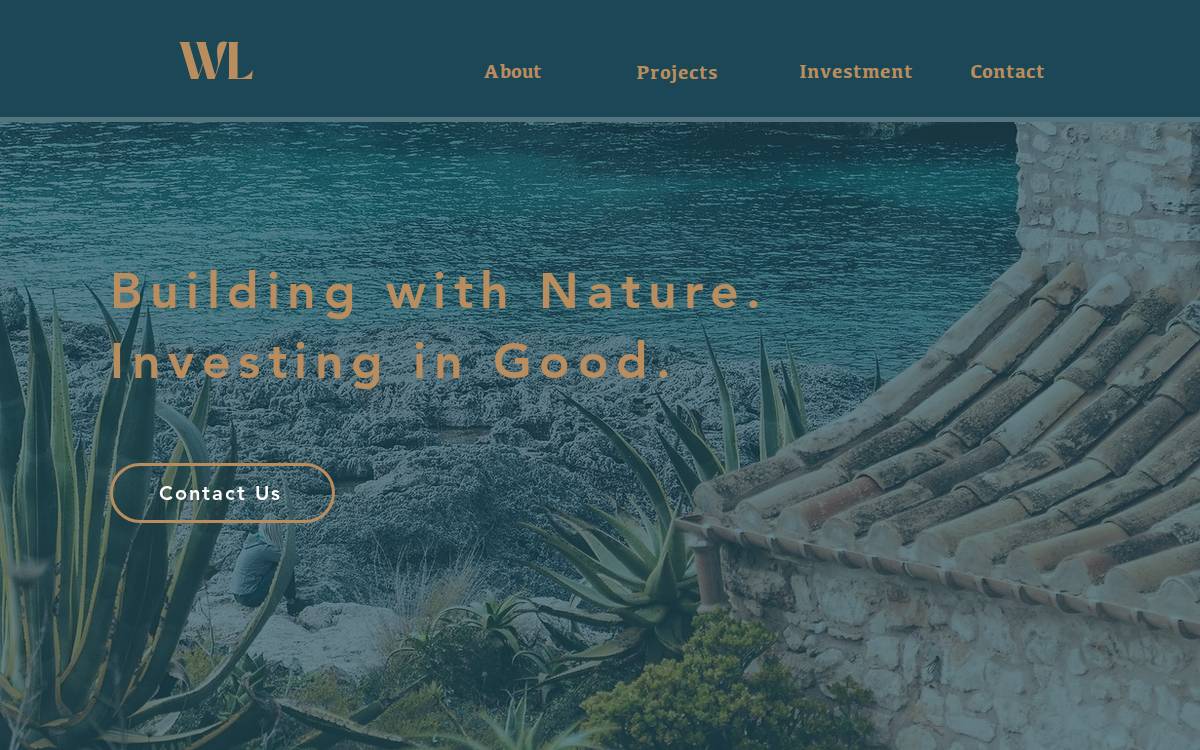 Wizard Lizard website preview
