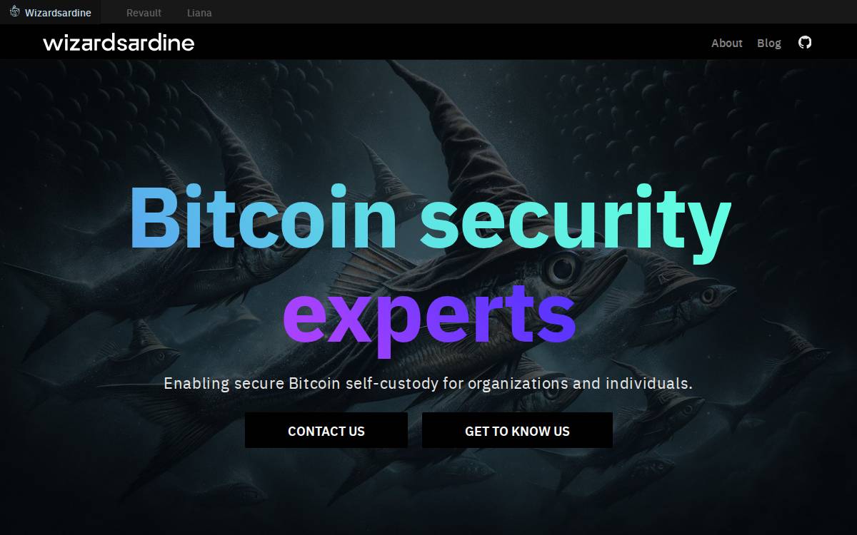 Wizard Sardine website preview