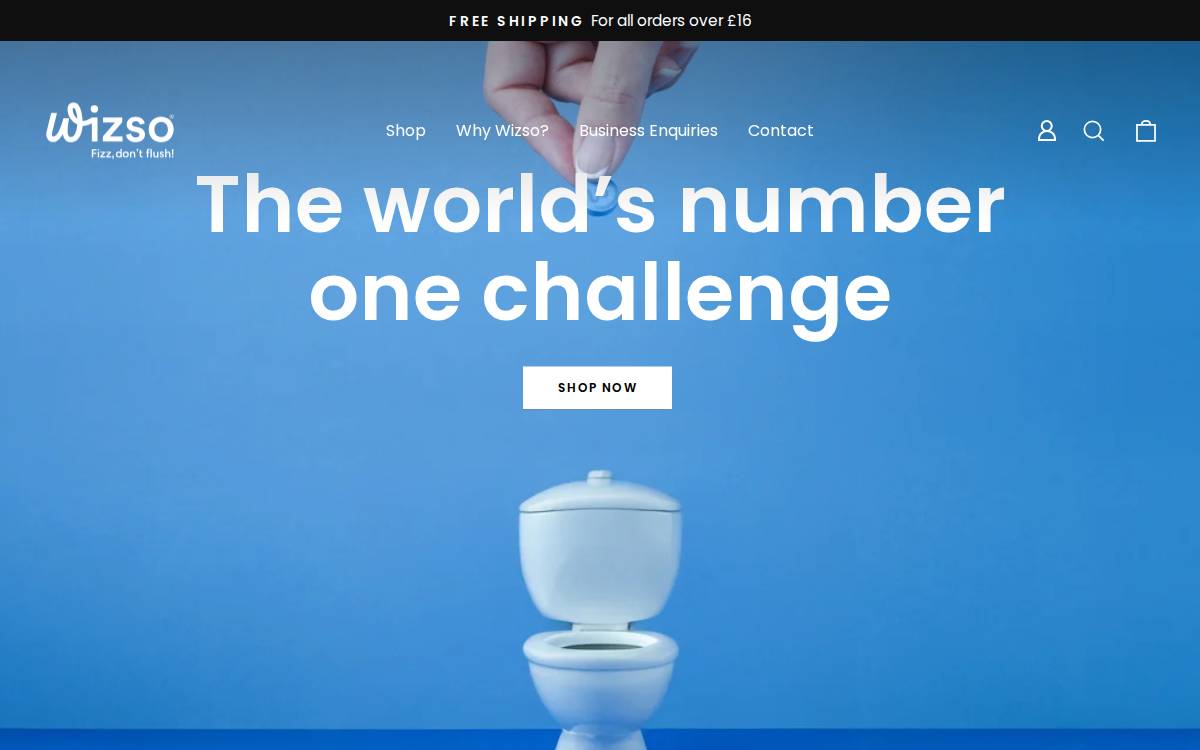Wizso website preview