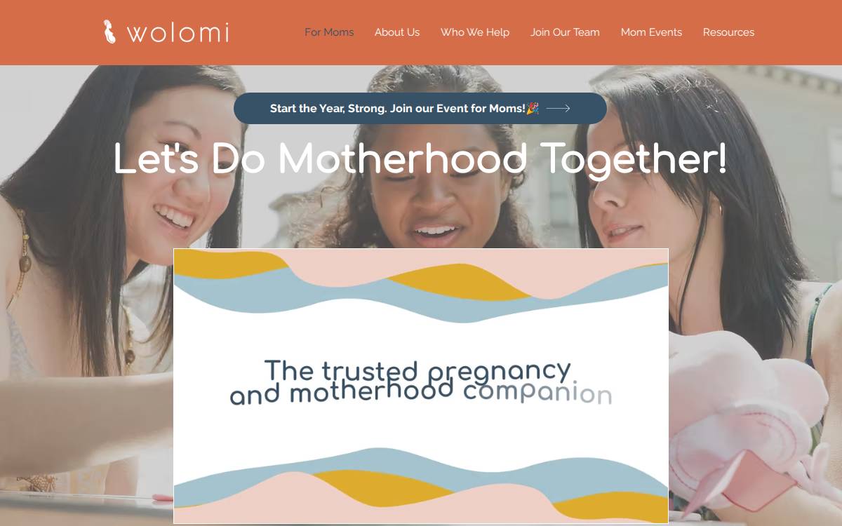 Wolomi website preview