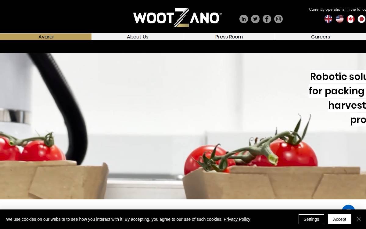 Wootzano website preview